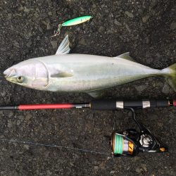 ジグサビキと泳がせ釣り